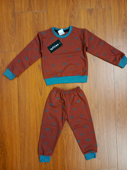 Brown dino kids tracksuits